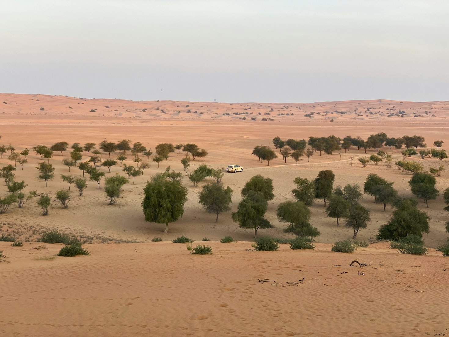 Le rôle des puissances étrangères dans le Sahel