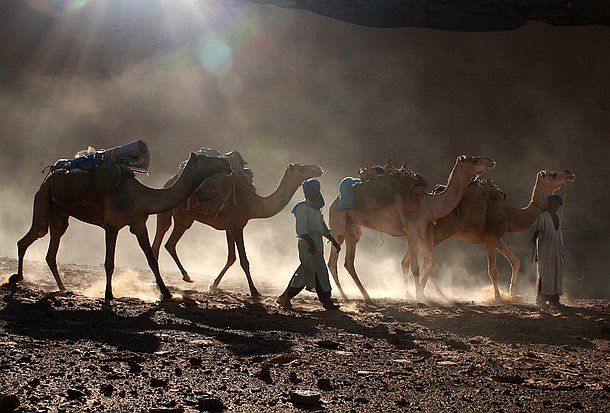 Niger : la junte ordonne l&rsquo;expulsion des Arabes Mohamid vers le Tchad