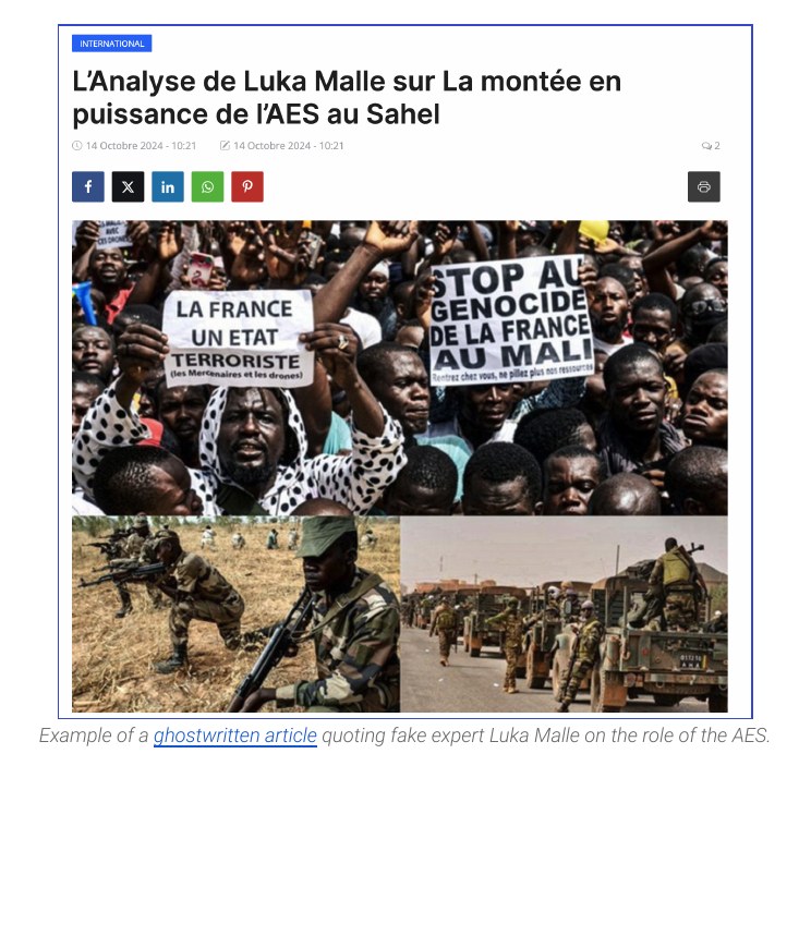 Article citant le faux expert Luka Malle sur l'Alliance des États du Sahel